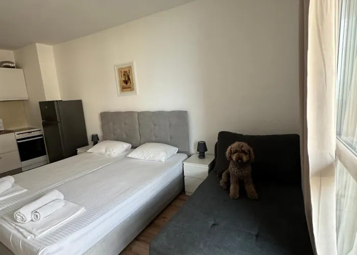 за гости екатерина Guest Ekaterina Апартамент